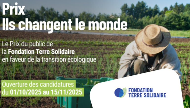 Visuel de la participation