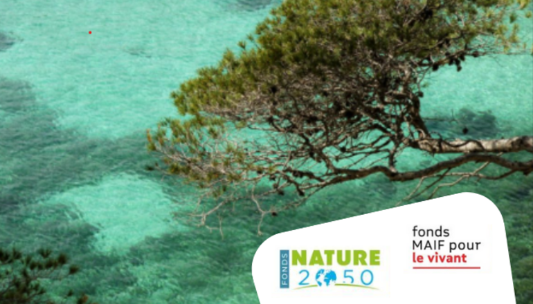 Visuel de la participation